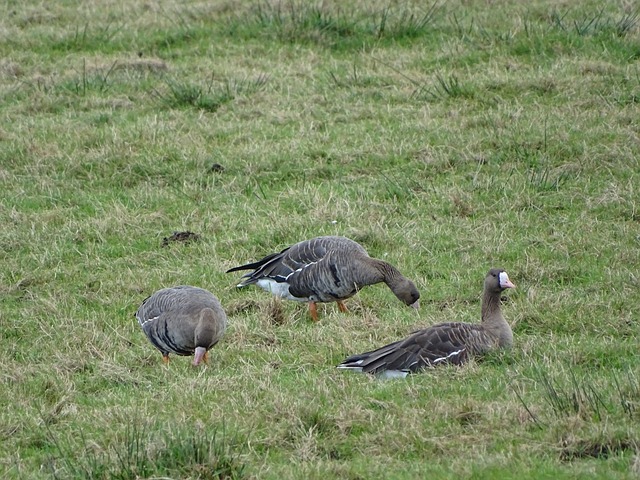 隊的成功助 隊的成功助