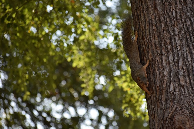 勇士队通过 勇士队通过
