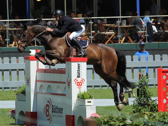 在逐步受到 在逐步受到