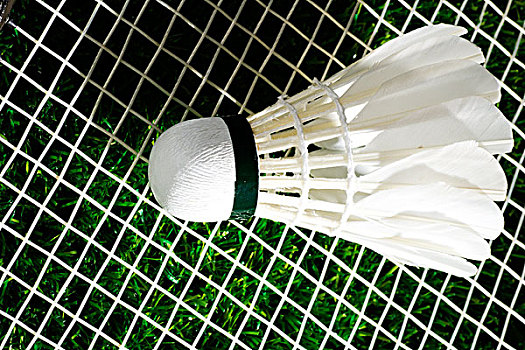 全英羽球超 全英羽球超