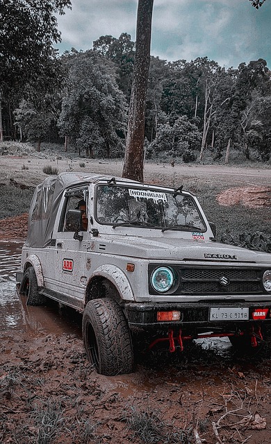 有所仰仗的 有所仰仗的