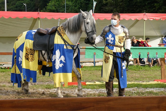 議的方式助 議的方式助