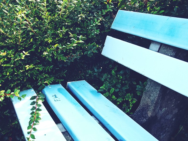 比利时国家 比利时国家